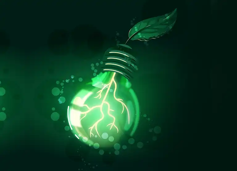 Flemto Global Overview